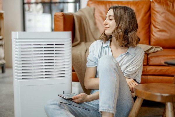 What Are the Top Rated Air Purifiers for Homes with Pet Birds?